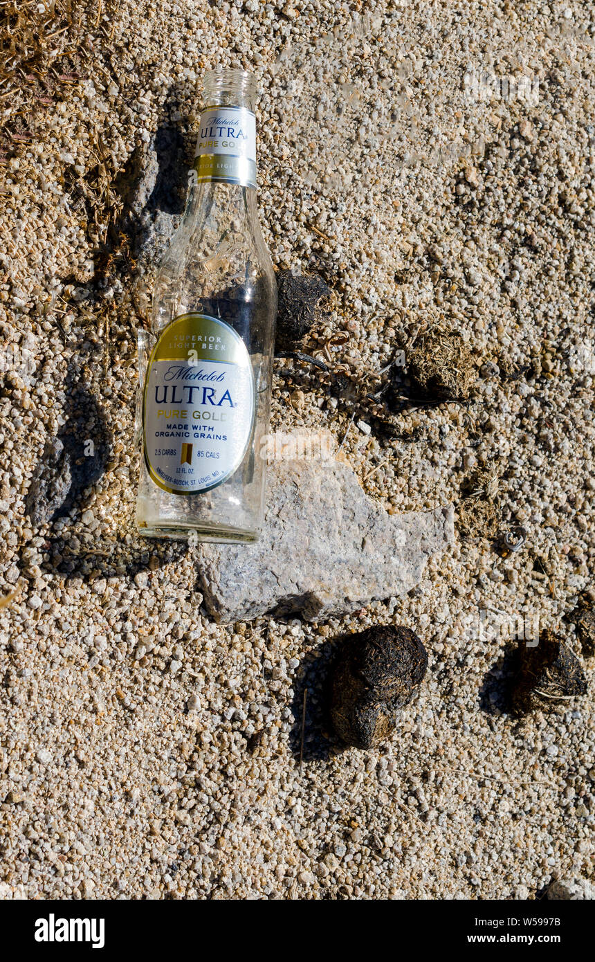 Empty glass bottle with label discarded on ground in desert. Stock Photo