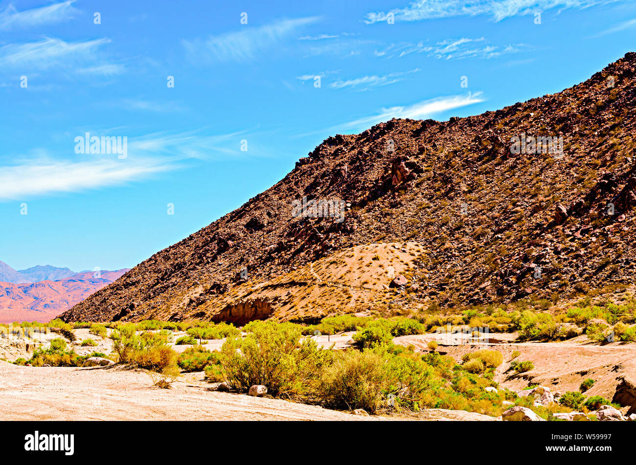 Desert valley with great bushes and brown barren hillside under blue skies with white clouds. Stock Photo