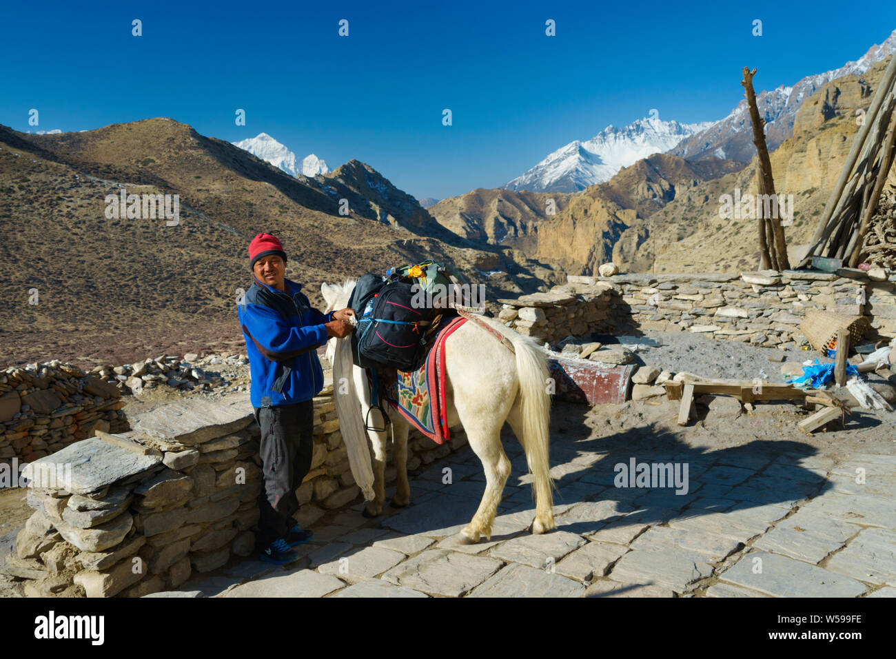 Loba man loading his pack horse for a trek, Upper Mustang region, Nepal. Stock Photo