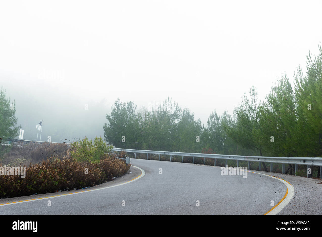 Ramp of a road with bending in a foggy day with pine trees Stock Photo ...
