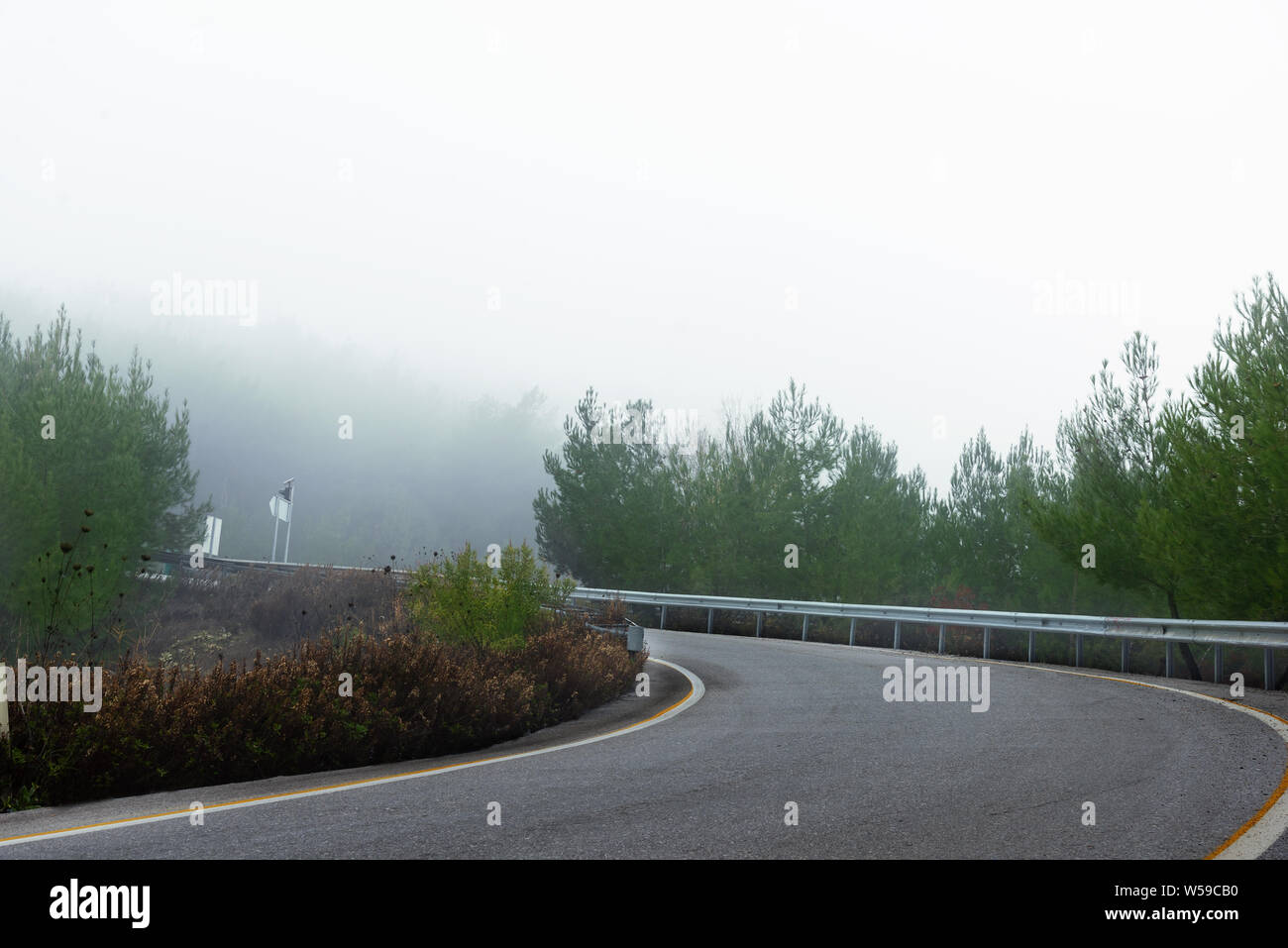 Ramp of a road with bending in a foggy day with pine trees Stock Photo ...