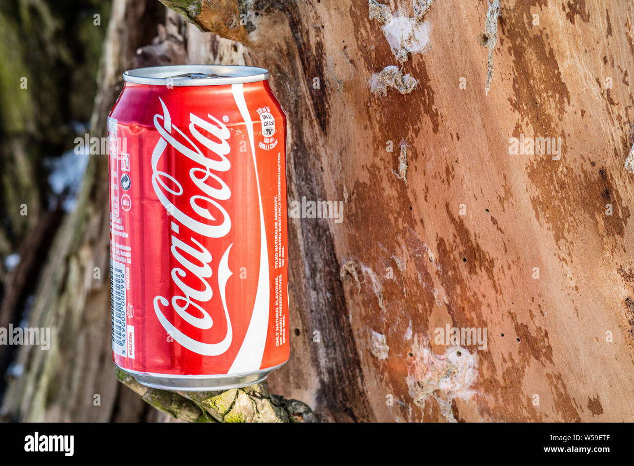 Classic Coca Cola can, CocaCola Company is the most popular market