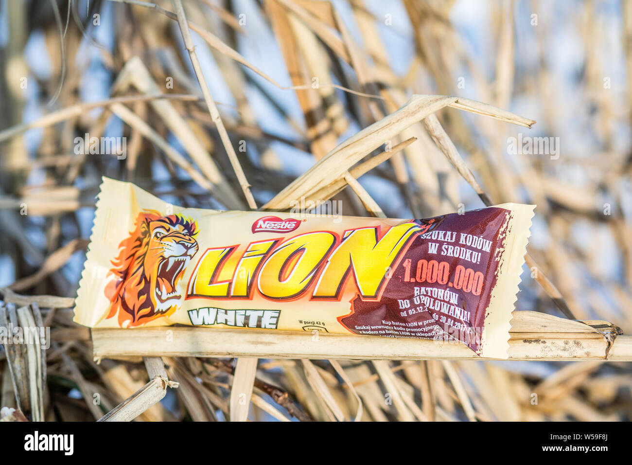 Lion chocolate bar hires stock photography and images Alamy