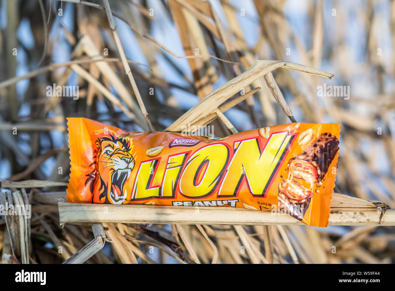 Lion chocolate bar manufactured by Nestle Stock Photo