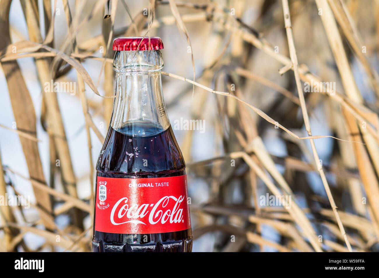 https://c8.alamy.com/comp/W59FFA/classic-coca-cola-bottle-coca-cola-company-is-the-most-popular-market-leader-carbonated-soft-drink-winter-W59FFA.jpg