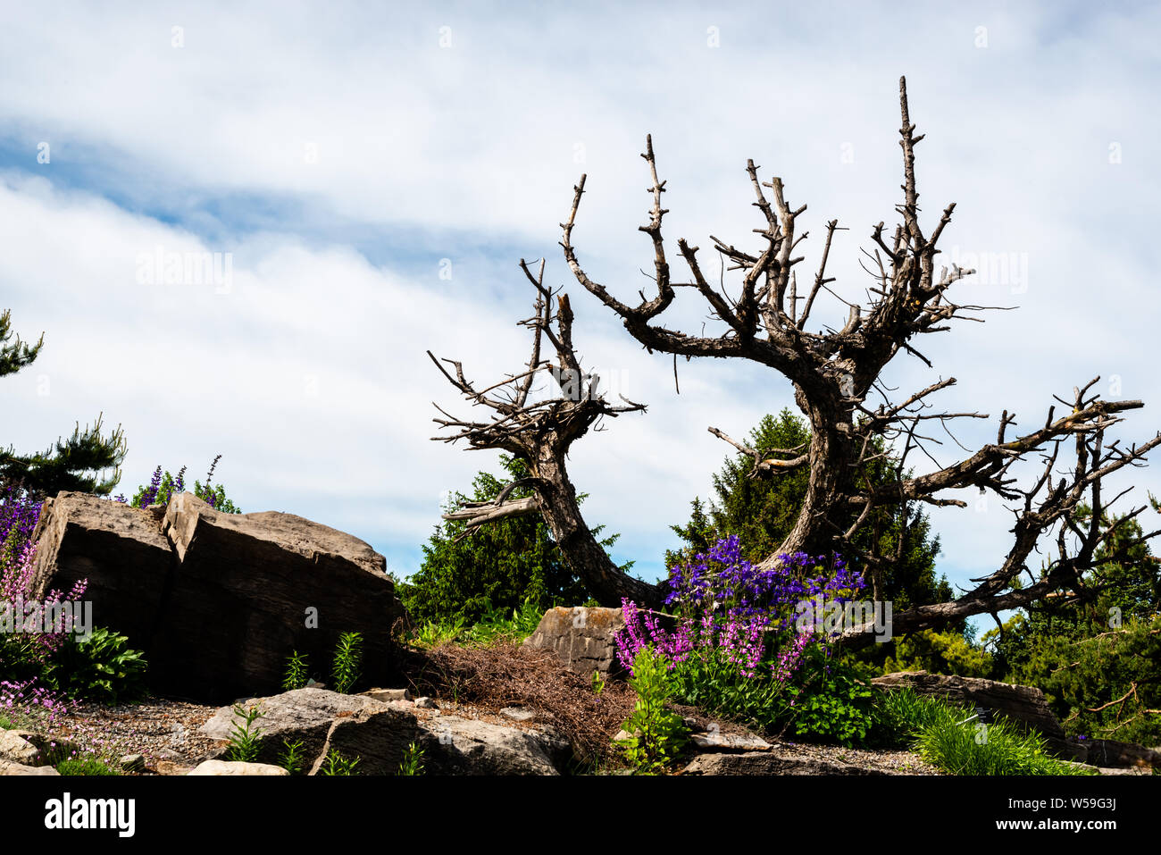 Beautiful landscape of the park Stock Photo - Alamy