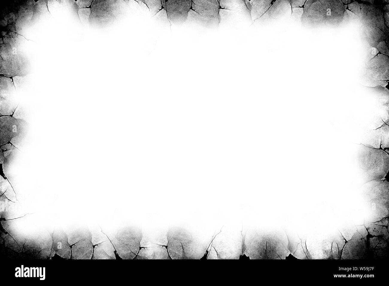 il_fullxfull.2567027562_op1q.jpg