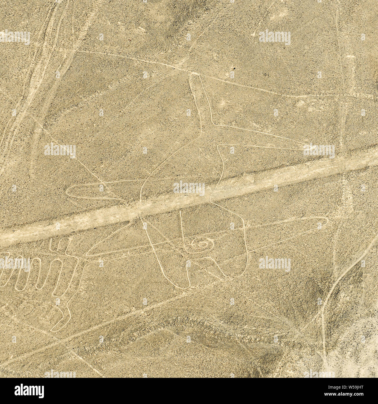 The whale geoglyph from the Nazca Lines archaeology site in the peruvian desert, Nazca, Peru. Stock Photo