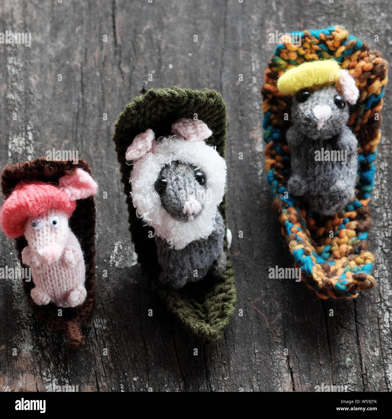 Funny scene three cute mice lay down relax on black wooden background, woolen small rat knit from yarn in free time of craftsmanship Stock Photo