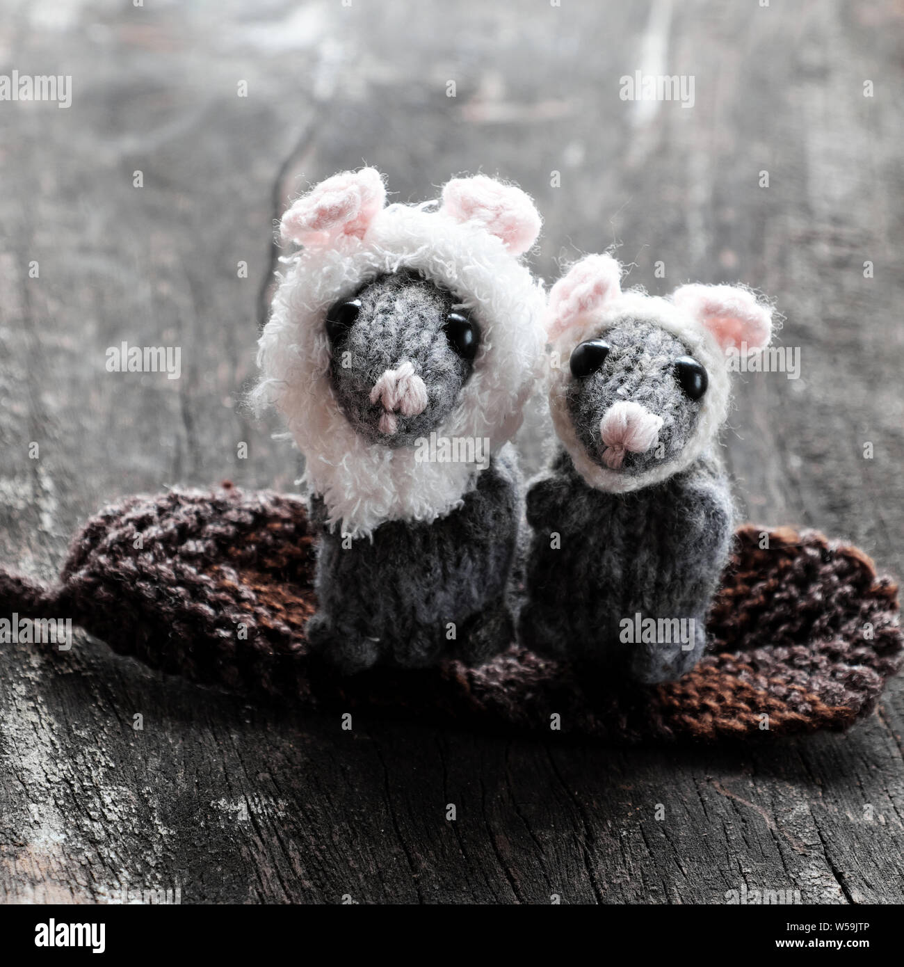 Close up two grey mice sit on leaf, cute tiny rat knit from yarn on black wooden background Stock Photo