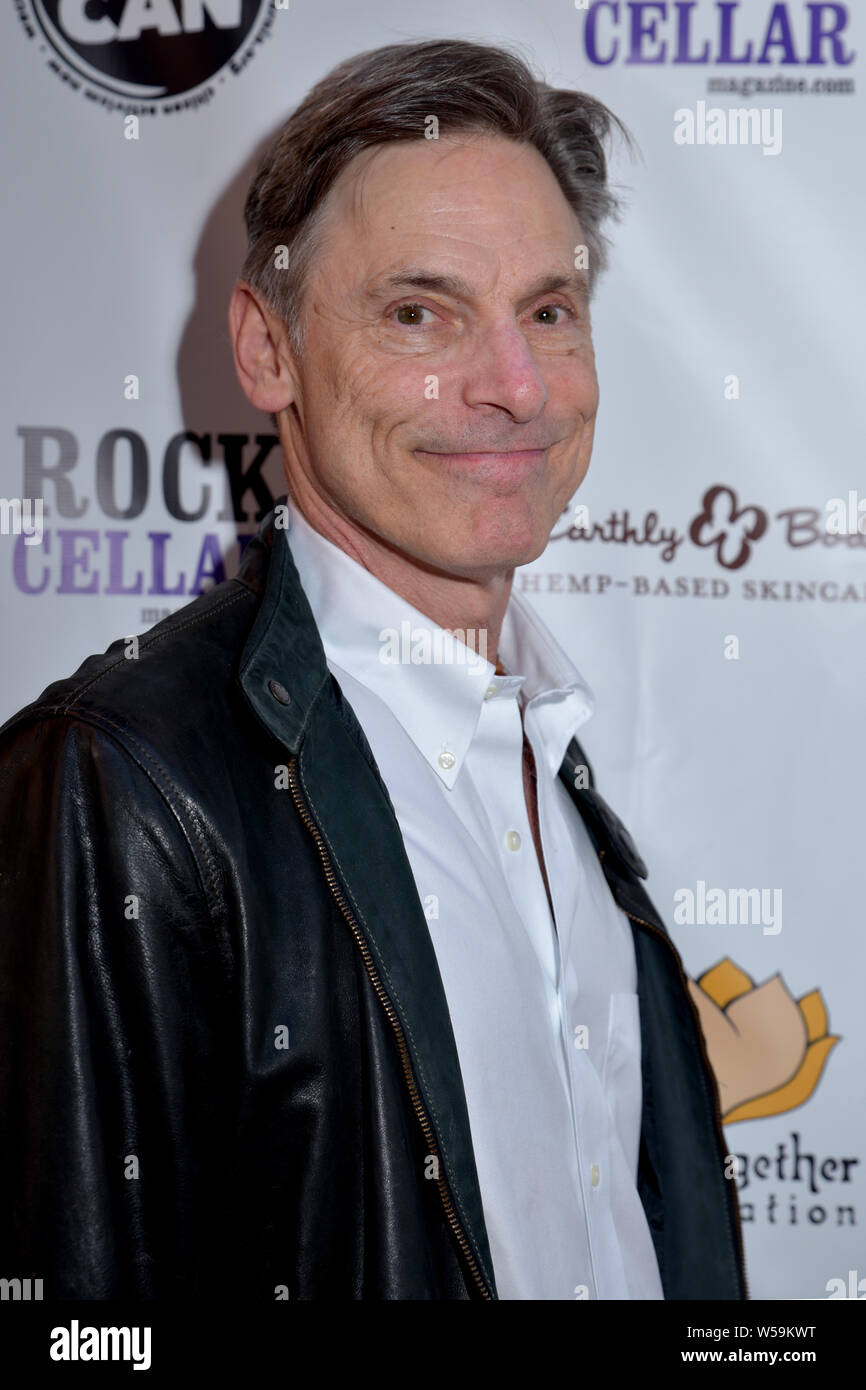 LOS ANGELES, CALIFORNIA - JULY 03:   at the California Saga 2 Charity Concert at the Theatre at the Ace Hotel on  July 03, 2019 in Los Angeles Califor Stock Photo