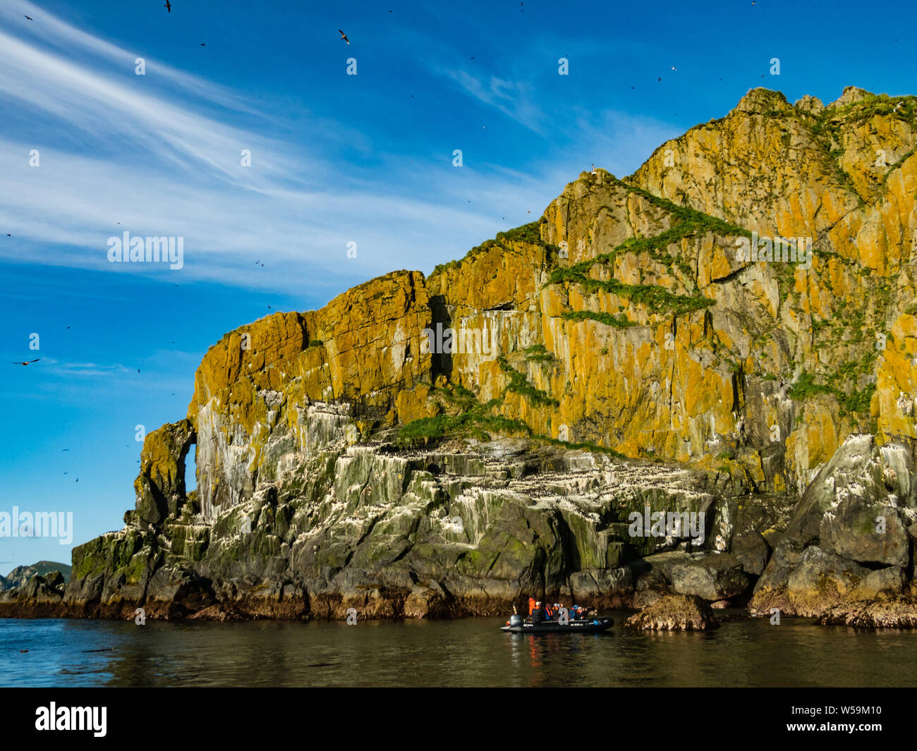 The stunning seabird nesting cliffs of Aghik Island in the Semidi island wilderness reserve off of the Alaska Peninsula Stock Photo