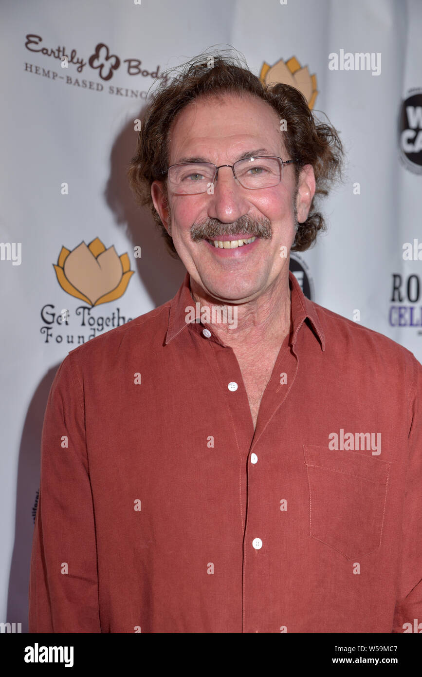 LOS ANGELES, CALIFORNIA - JULY 03:   at the California Saga 2 Charity Concert at the Theatre at the Ace Hotel on  July 03, 2019 in Los Angeles Califor Stock Photo