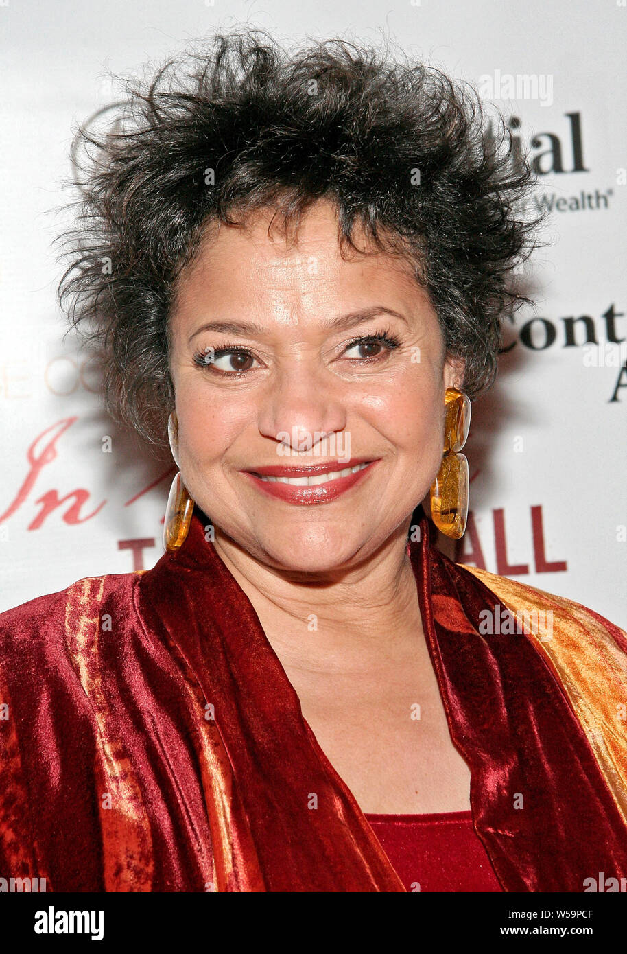 New York, USA. 11 February, 2008. Debbie Allen at the Red Ball: Evidence's "Grace in Winter" gala at The Hudson Theater, Millennium Broadway Hotel. Credit: Steve Mack/Alamy Stock Photo