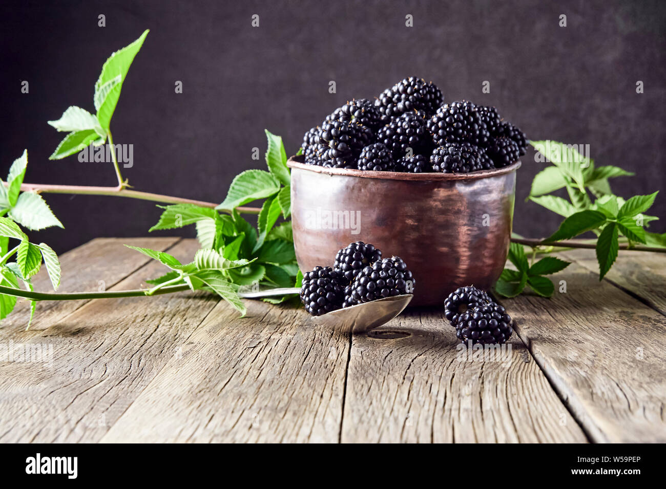 Ripe blackberries with leaves in old copper dishes on old wooden boards and lying next to a spoon on a dark background. Stock Photo