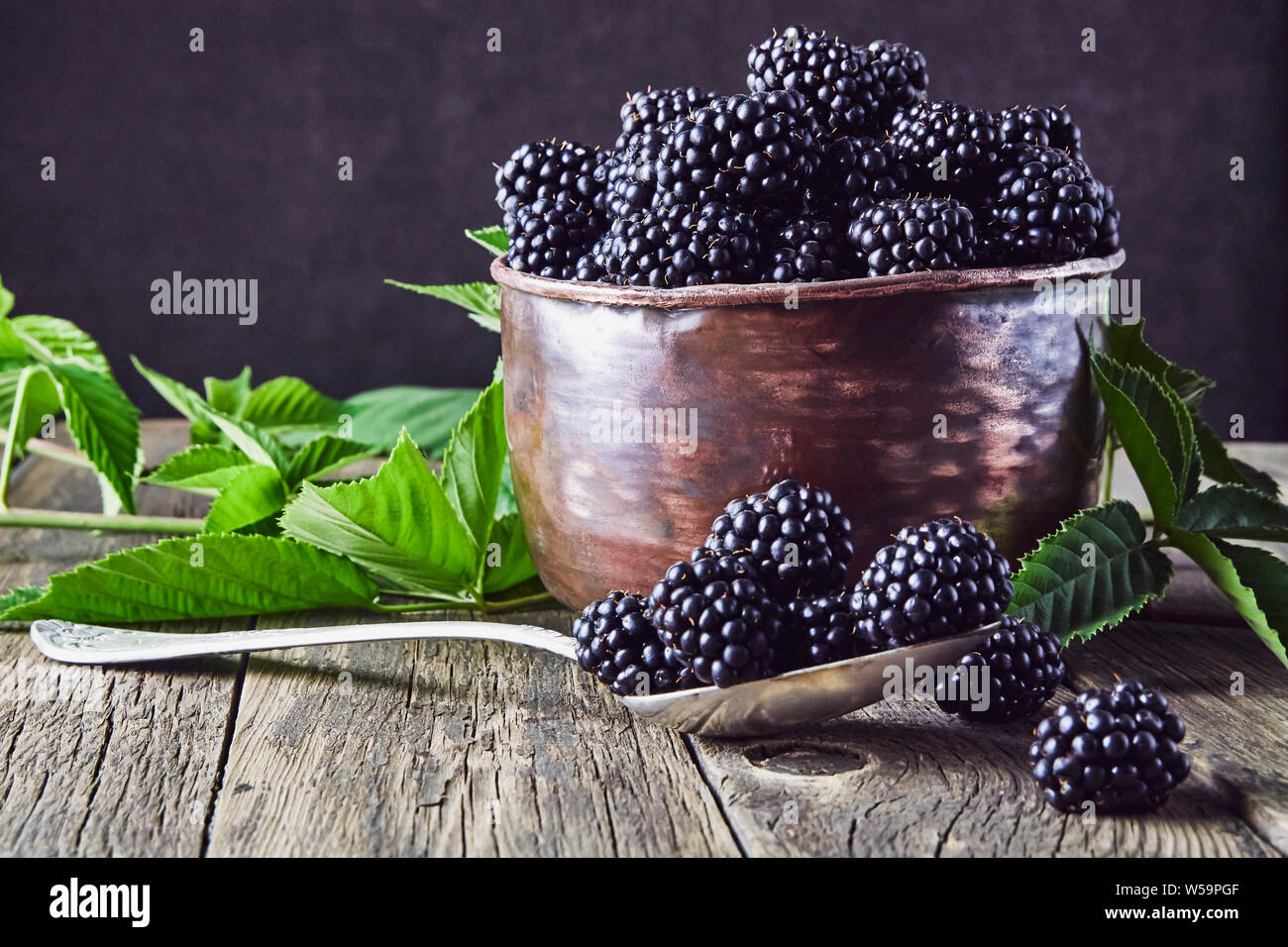 Ripe blackberries with leaves in old copper dishes on old wooden boards and lying next to a spoon on a dark background. Stock Photo