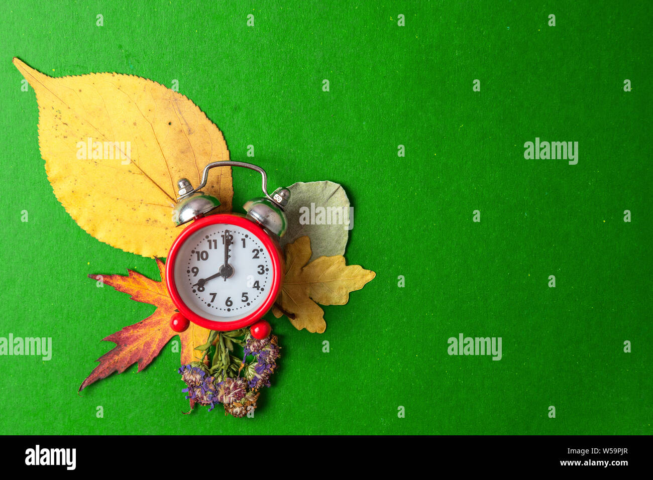 Back to school concept. Old alarm clock on the background of dry autumn leaves. Copy space. Stock Photo