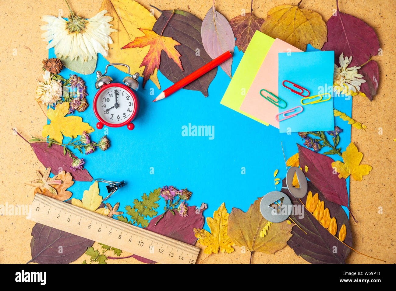 Back to school concept. Autumn frame of dry leaves and school supplies. Copy space Stock Photo