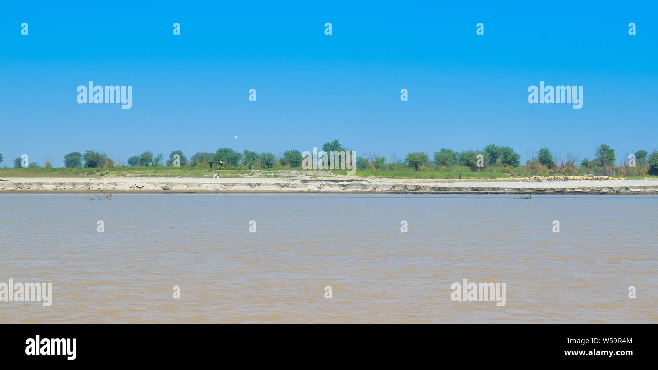 green wheat fields on the bank of river indus Punjab,Pakistan,affected by river bank erosion Stock Photo