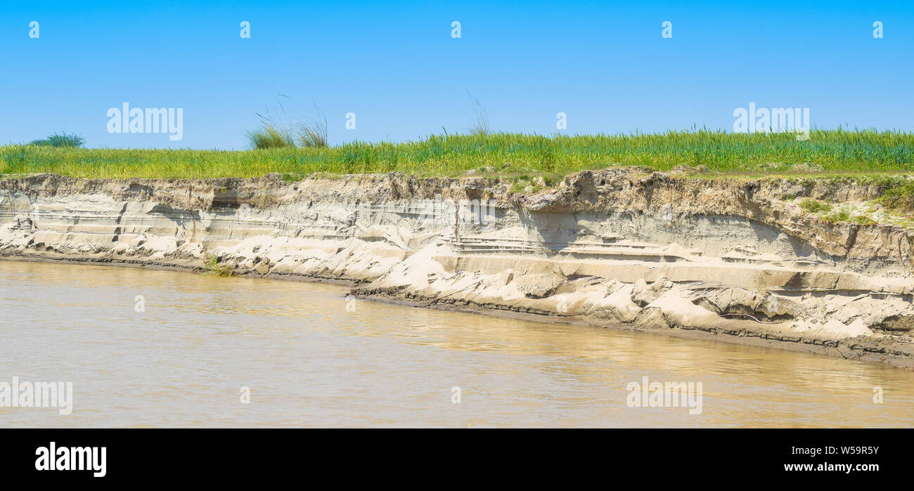 green wheat fields on the bank of river indus Punjab,Pakistan,affected by river bank erosion Stock Photo