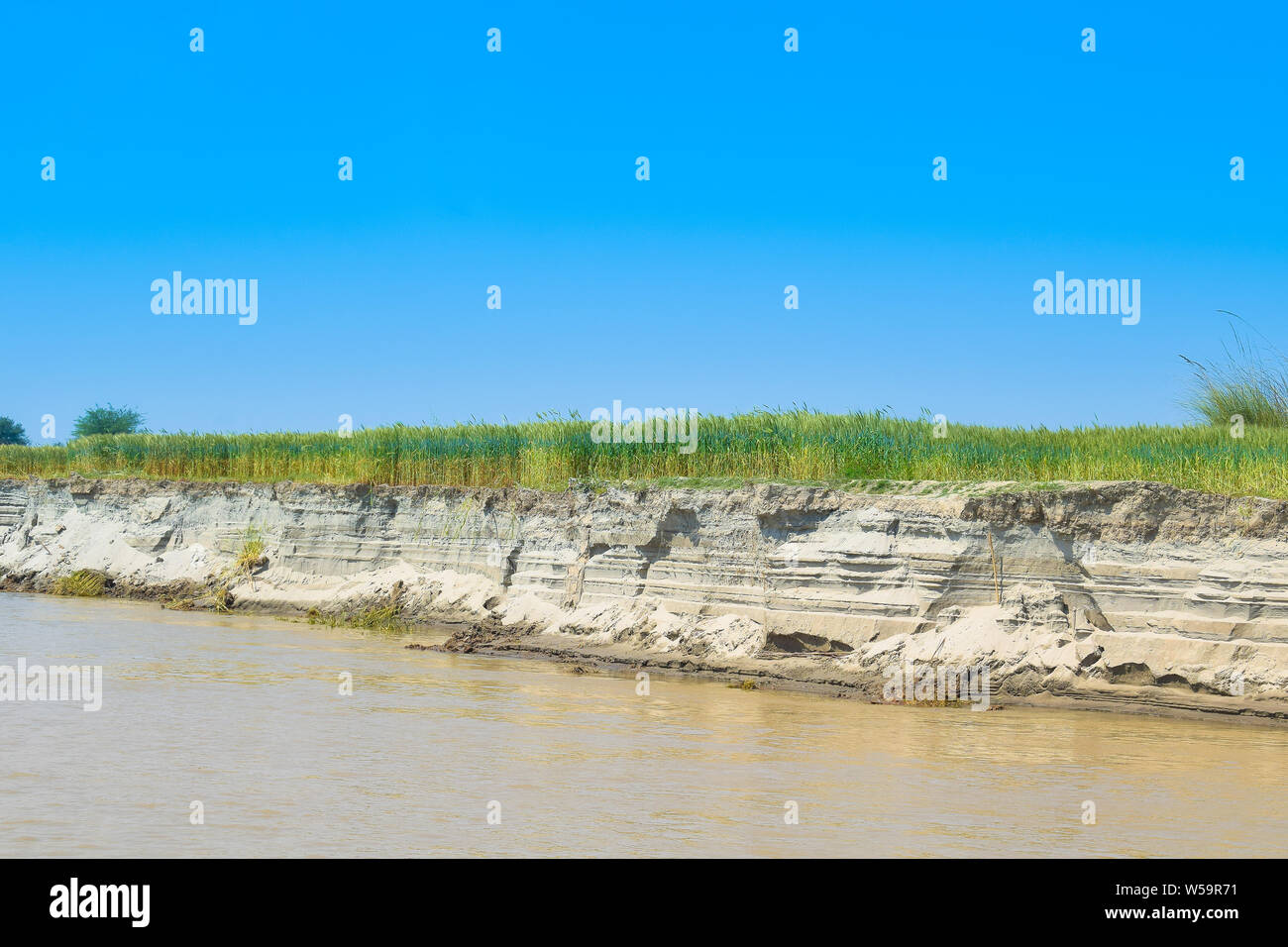 green wheat fields on the bank of river indus Punjab,Pakistan,affected by river bank erosion Stock Photo