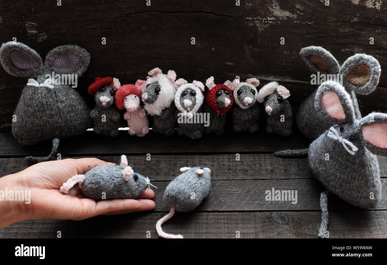 Funny concept with group of cute grey mice and woman hand hold small rat on black wooden background, handmade product knit from yarn in free time Stock Photo