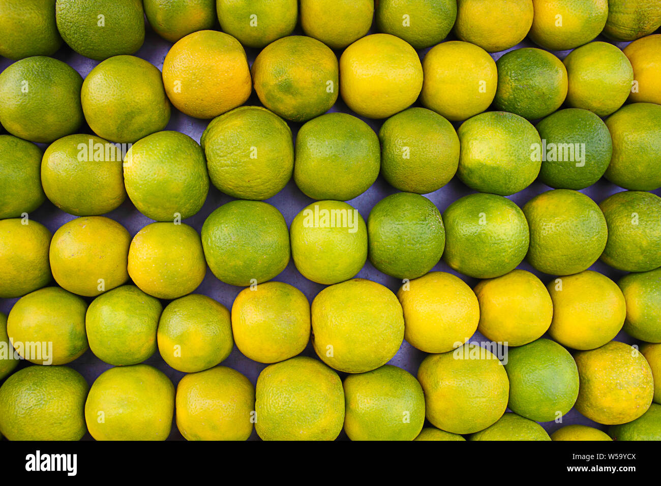 Close up of sweet limes at a juice corner Stock Photo