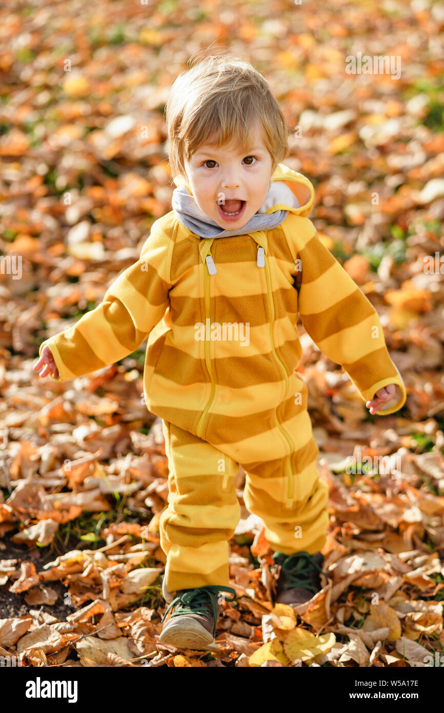 Concept: family, kids. Happy little child, baby boy laughing and playing in the autumn on the nature walk outdoors at park Stock Photo