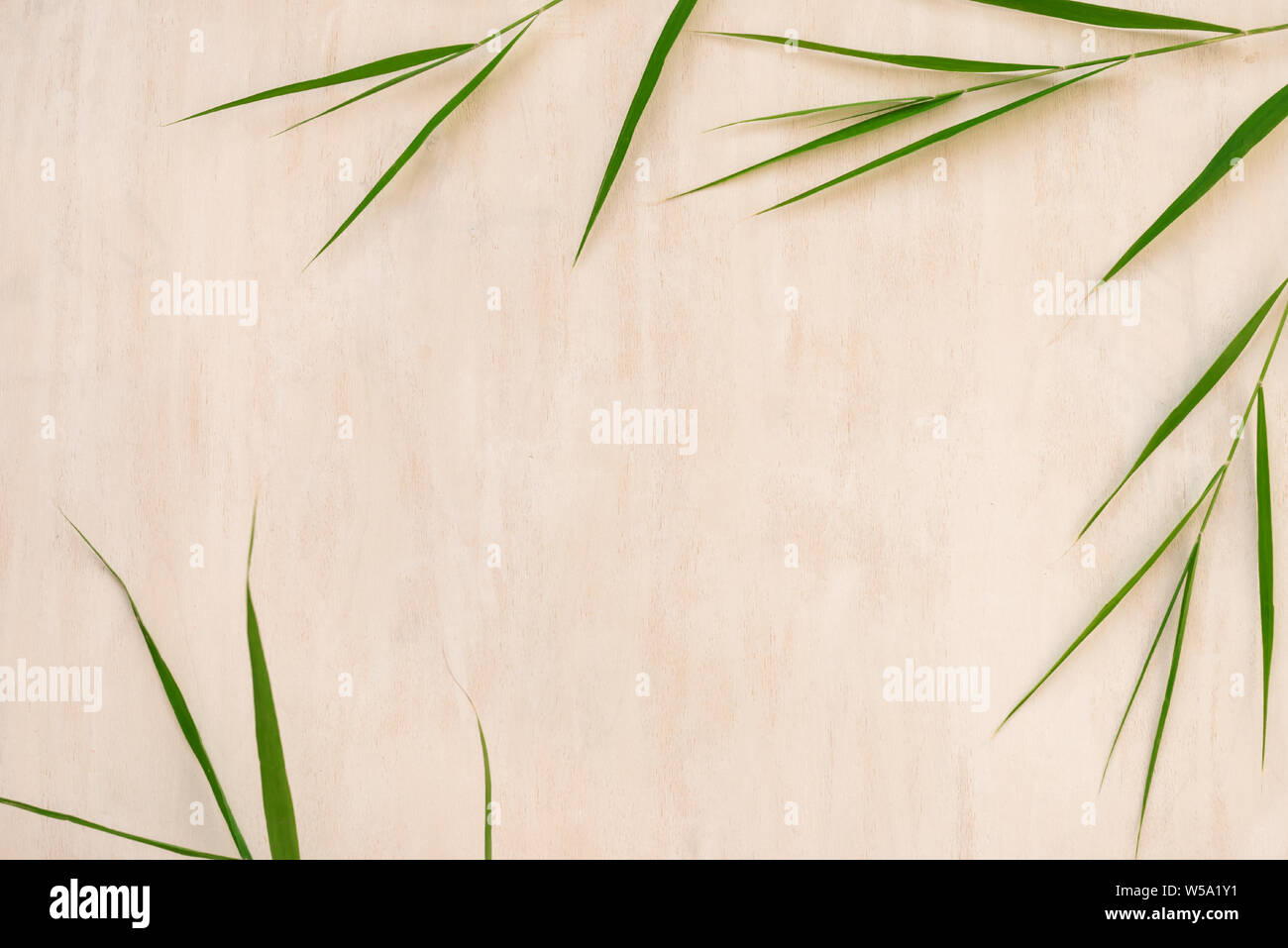 Green bamboo leaves, asian style plants, top view, copy space. Trendy bamboo leaves flat lay on white wooden background. Stock Photo