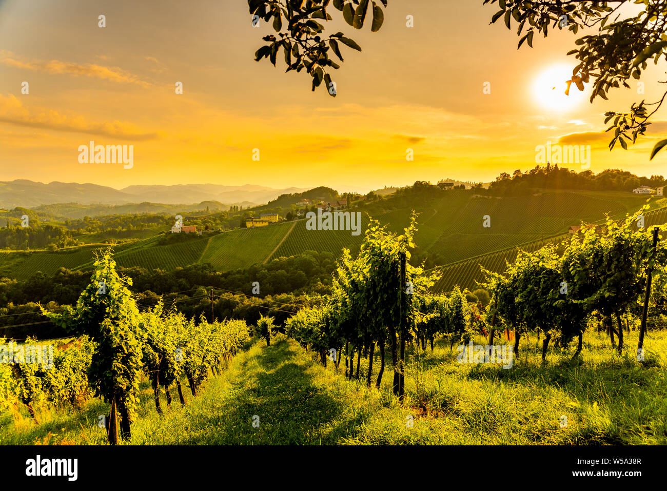 Sulz In Stock Photos Sulz In Stock Images Alamy