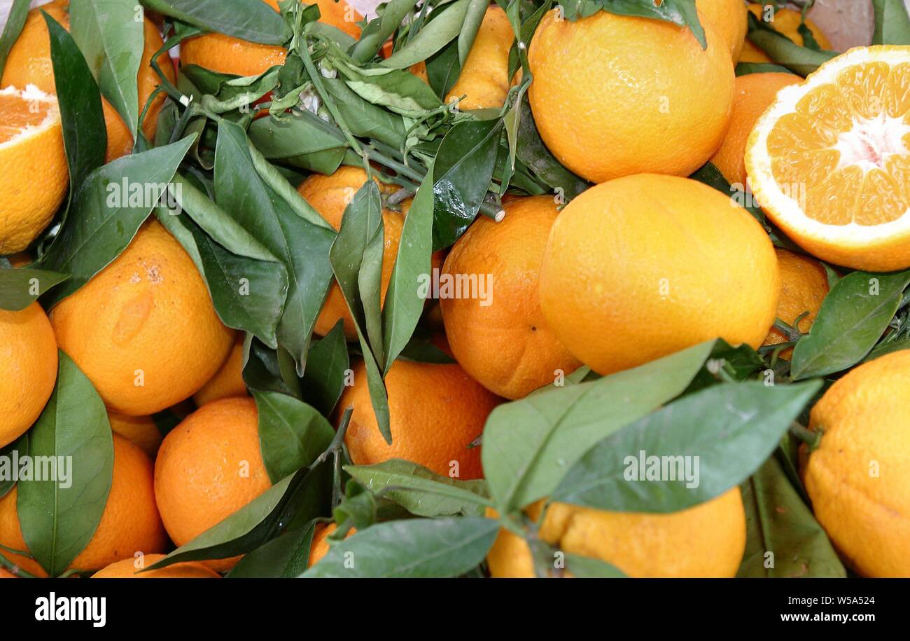 Oranges for sale at Italian Market Stock Photo Alamy