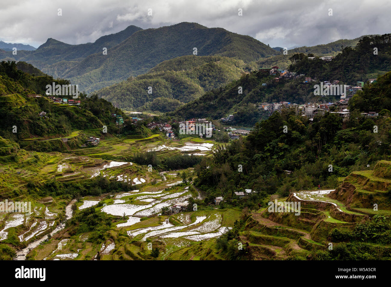 The Banaue Rice Terraces Viewed From The Banaue Viewpoint, Banaue, Luzon, The Philippines Stock Photo