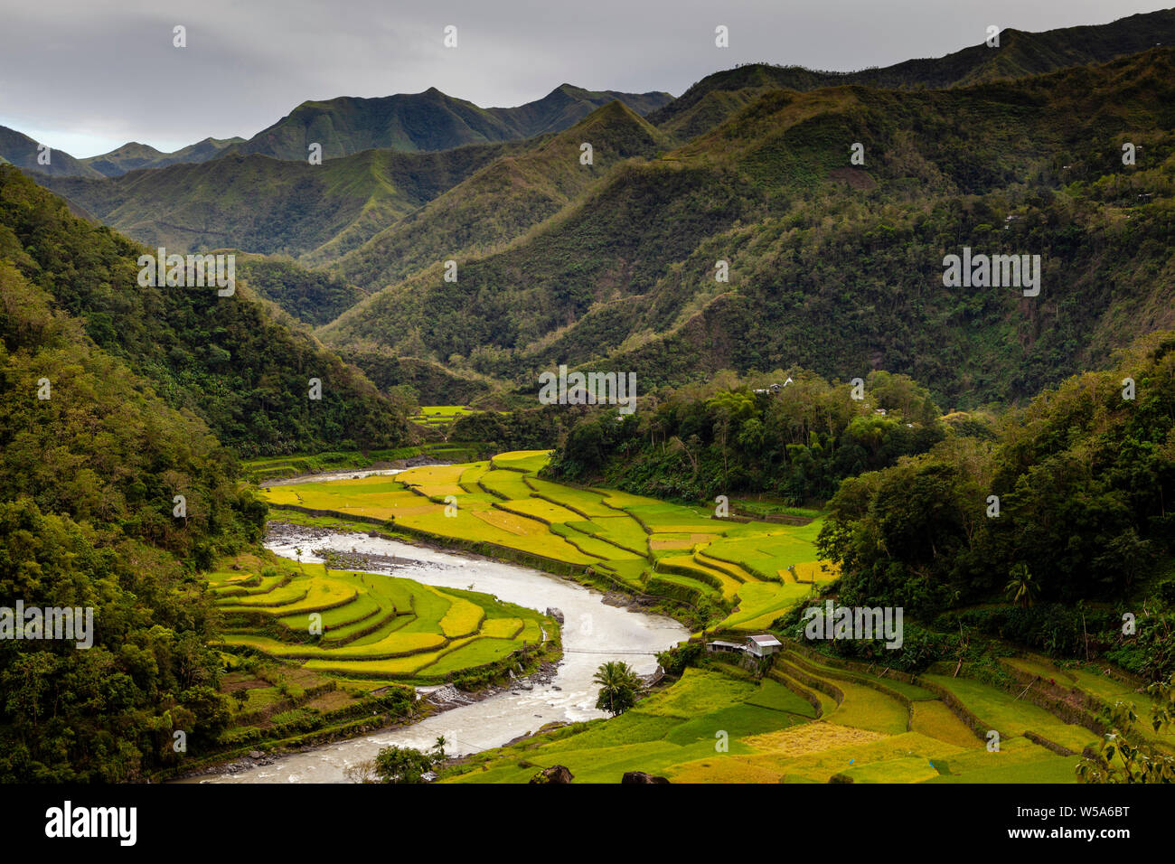 Rice Terraces near Batad, The Cordillera Mountains, Luzon, The Philippines Stock Photo