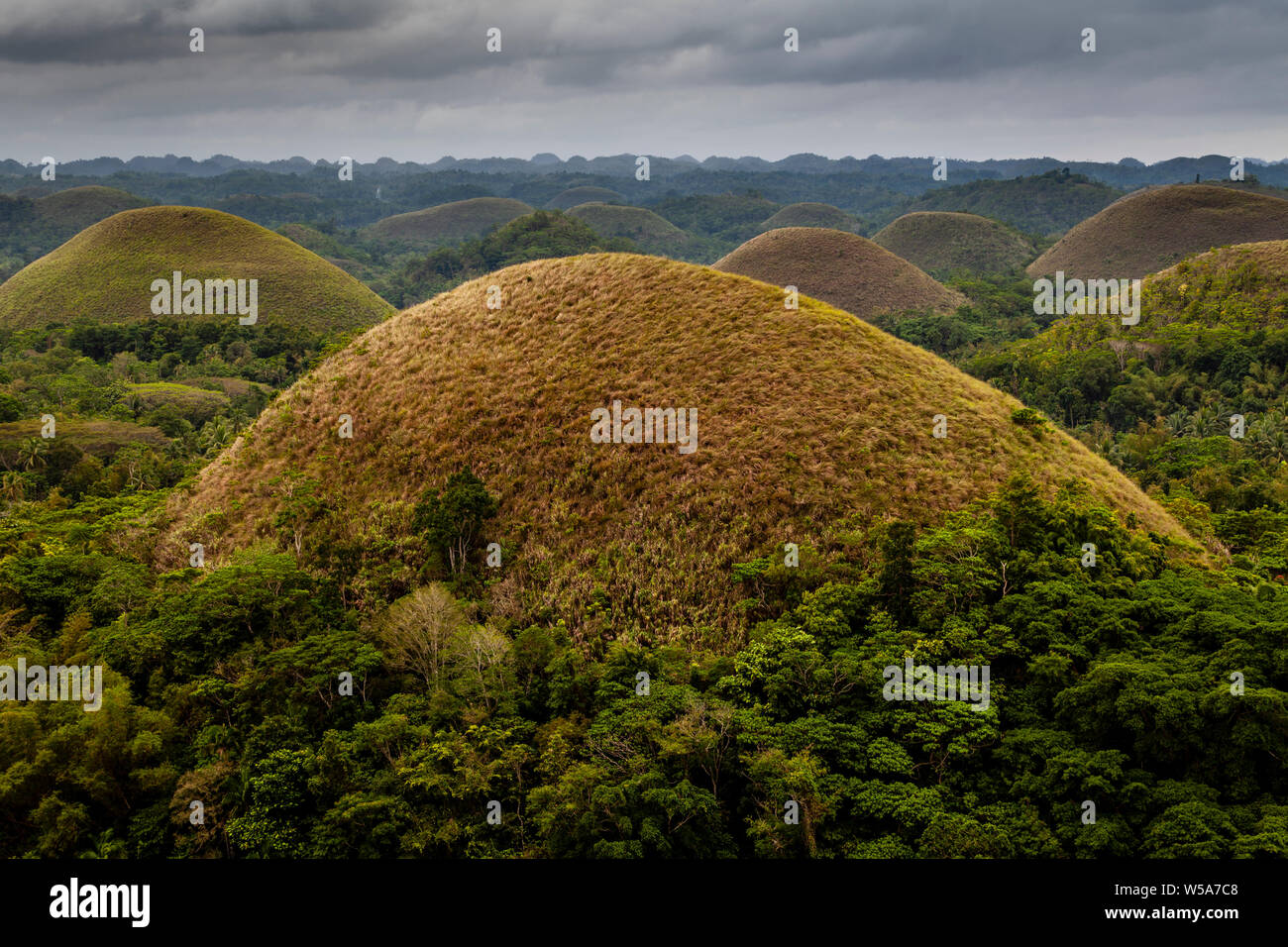 The Chocolate Hills, Carmen, Bohol, The Philippines Stock Photo Alamy