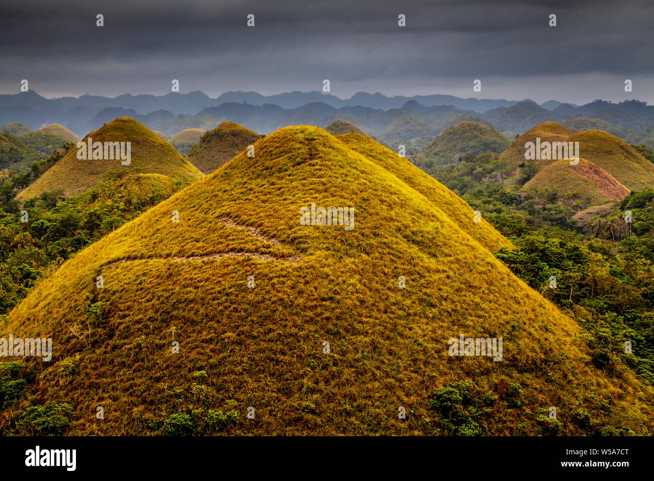 The Chocolate Hills, Carmen, Bohol, The Philippines Stock Photo