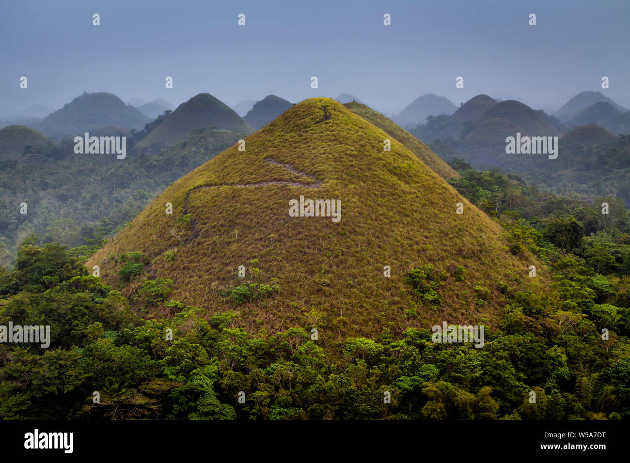 The Chocolate Hills, Carmen, Bohol, The Philippines Stock Photo