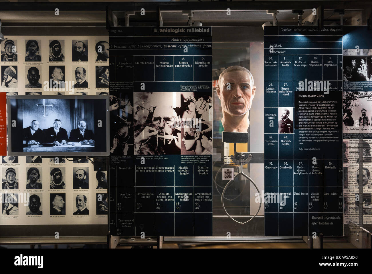 View of a display detailing Nazi theories of ethnic and racial categorisation, Center For Studies of Holocaust and Religious Minorities, Oslo, Norway. Stock Photo