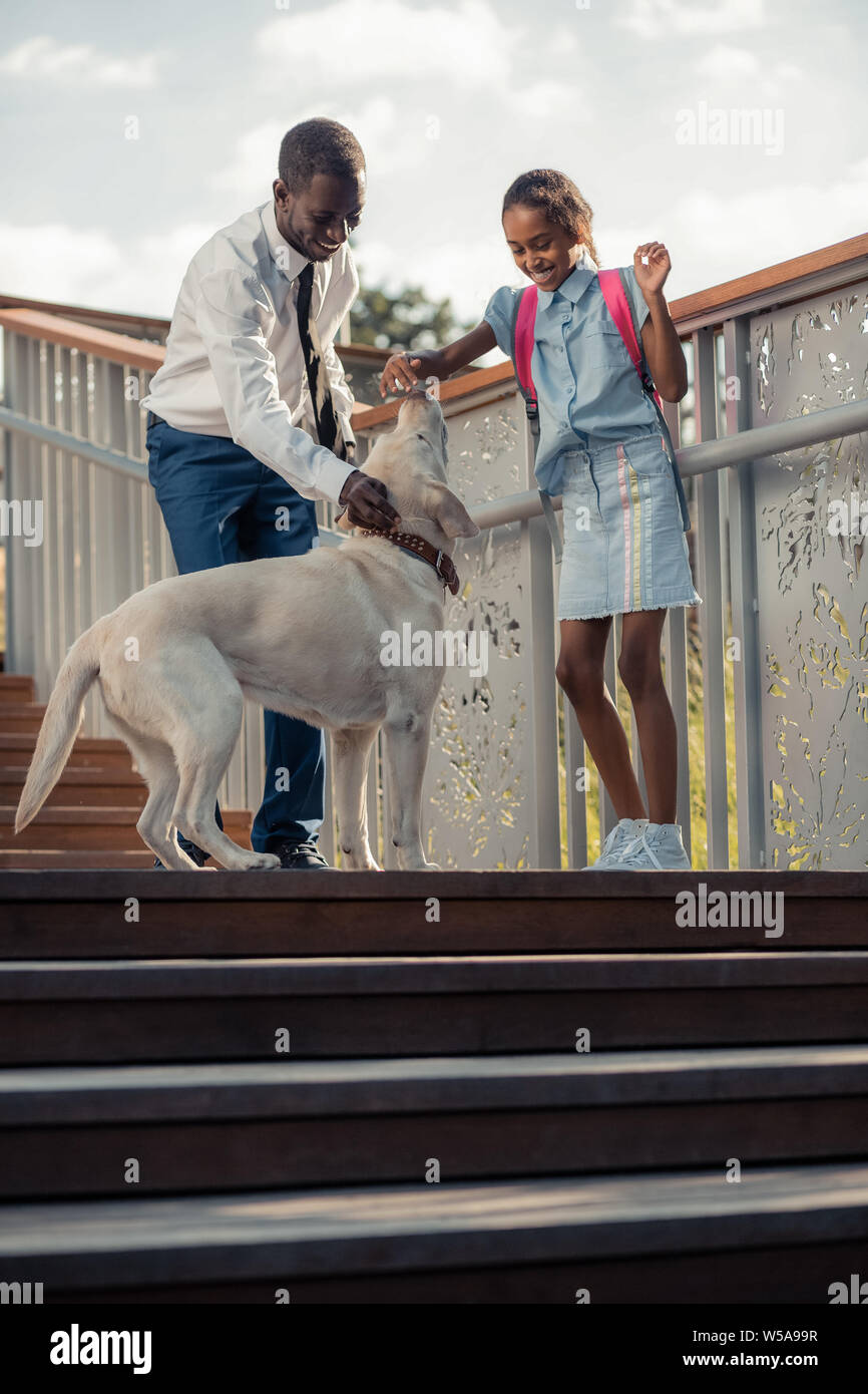 Kind businessman caressing nice active big dog Stock Photo