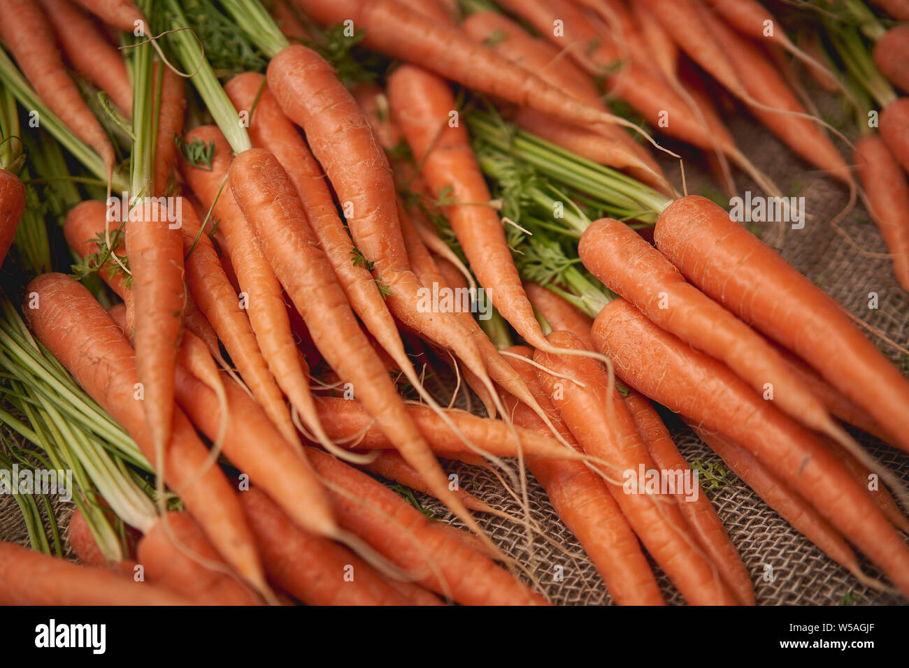 Organic carrots on sale in a local farmer's market. Landscape format. Stock Photo