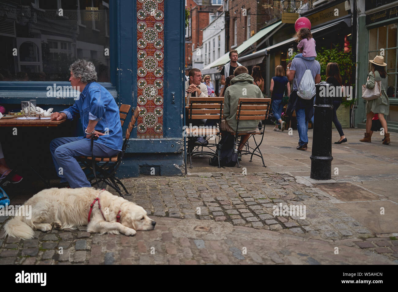 London, UK - July, 2019. A white dog on a leash on a pavement outside a pub in Hampstead, an elegant residential area in North London. Stock Photo