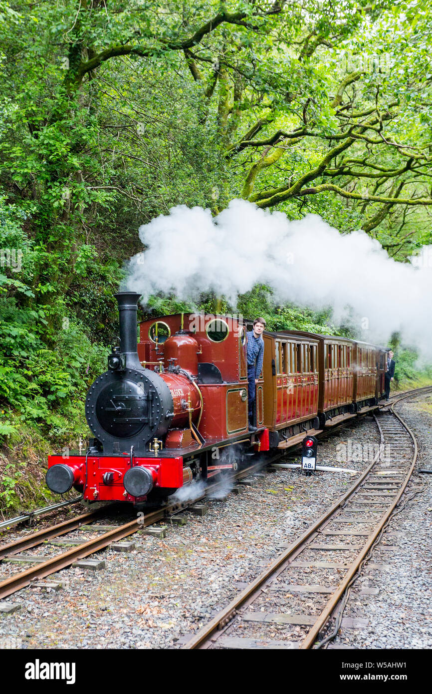 The 1866 0-4-0T steam loco 'Dolgoch'  arriving at Abergynolwyn on the Talyllyn – the world’s first preserved heritage railway, Gwynedd, Wales, UK Stock Photo