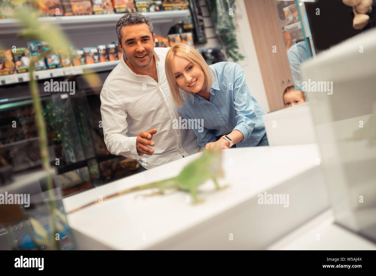 Husband and wife looking at iguana while visiting pet shop Stock Photo