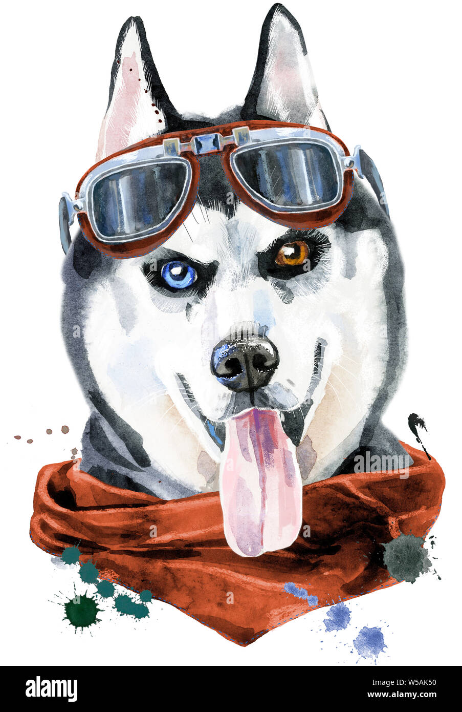 Cute Dog with kerchief and glasses. Dog T-shirt graphics. watercolor husky Stock Photo