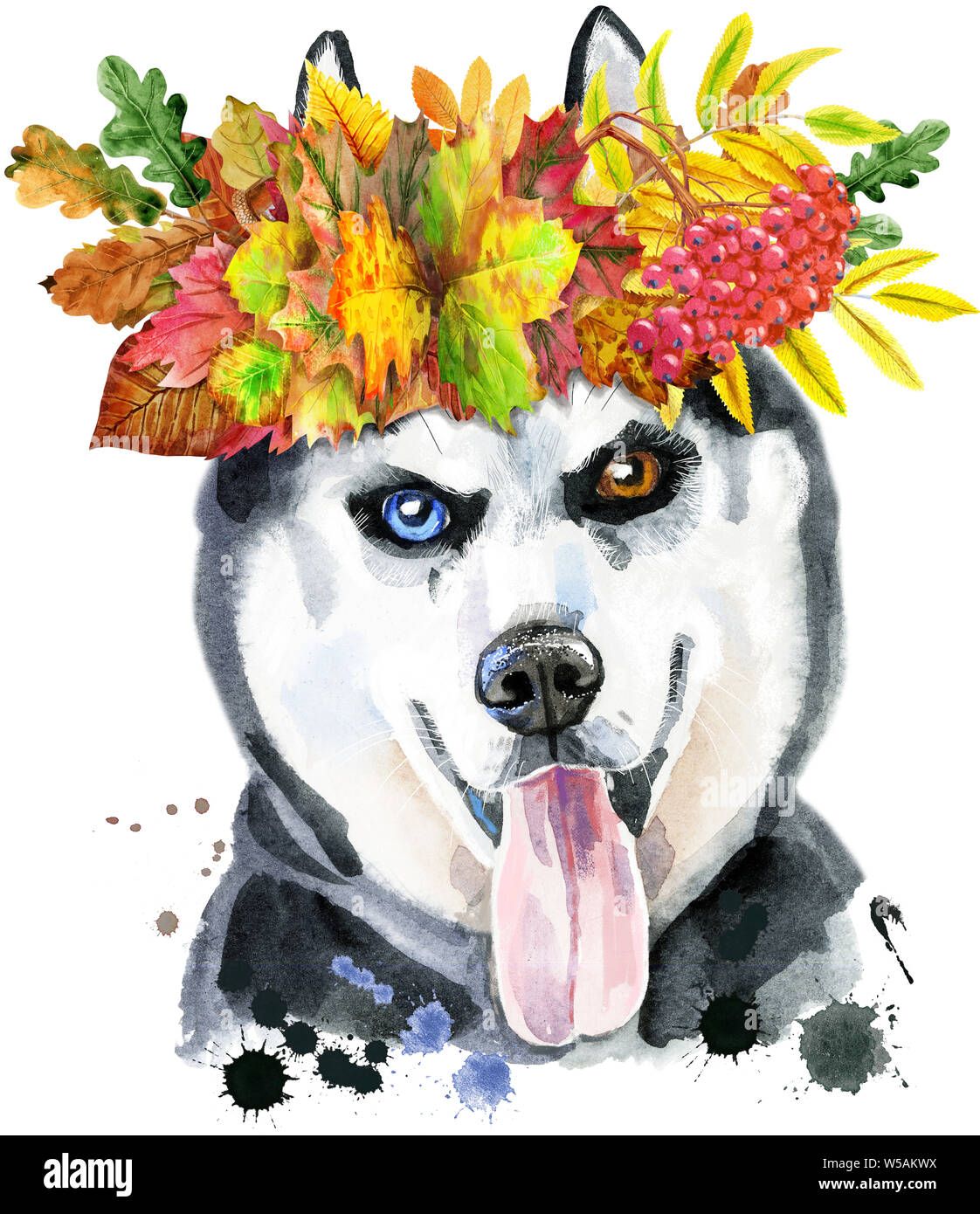 Cute Dog with kerchief and glasses. Dog T-shirt graphics. watercolor husky Stock Photo