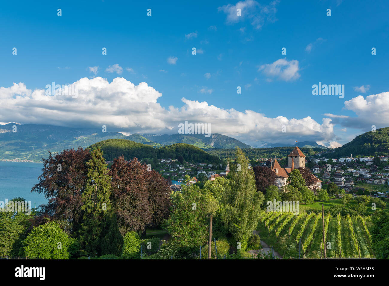 Spiez Vineyard Hi res Stock Photography And Images Alamy spiez-vineyard-hi-res-stock-photography-and-images-alamy