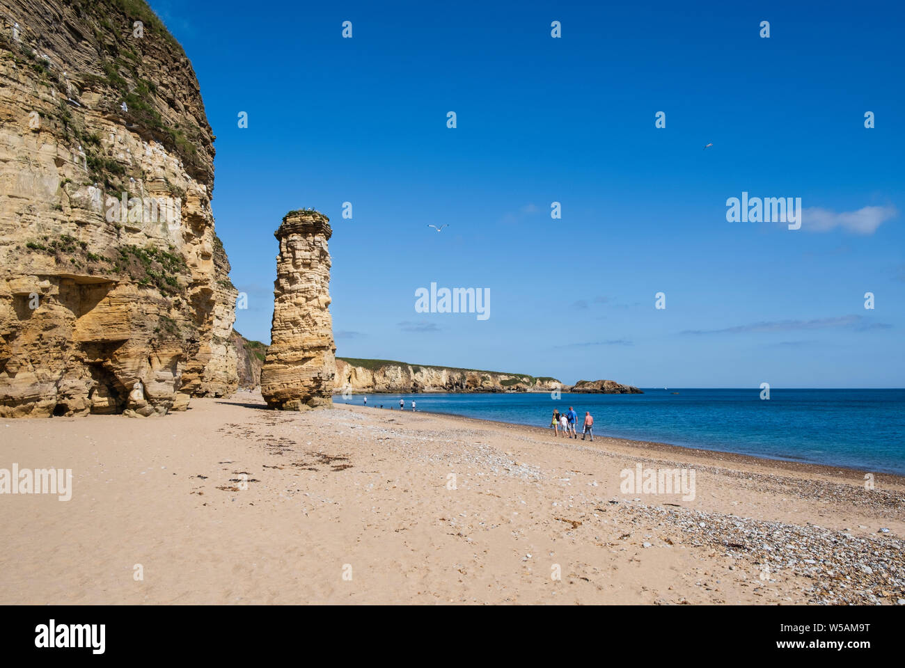 Lot's Wife sea-stack on the sandy beach at Marsden Bay on the coast near South Shields South Tyneside, Tyne and Wear Stock Photo