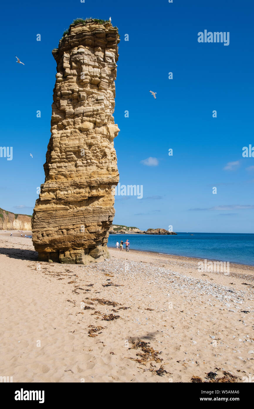 Lot's Wife sea-stack on the sandy beach at Marsden Bay on the coast near South Shields South Tyneside, Tyne and Wear Stock Photo