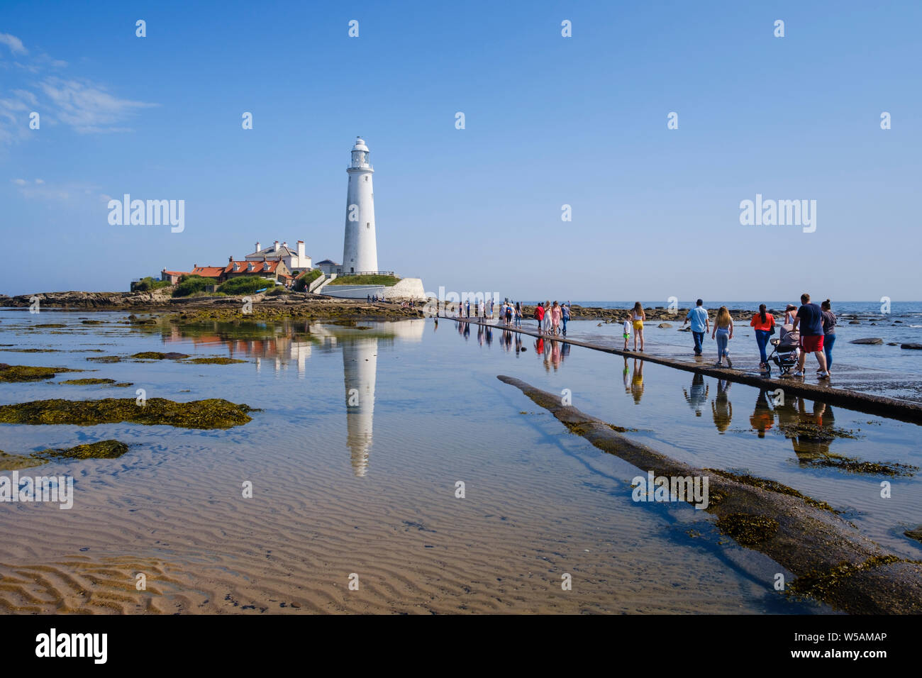 On Northumberland coast - day trippers tourists and families walk across the causeway to St Mary's Lighthouse  at Whitley Bay North Tyneside Stock Photo