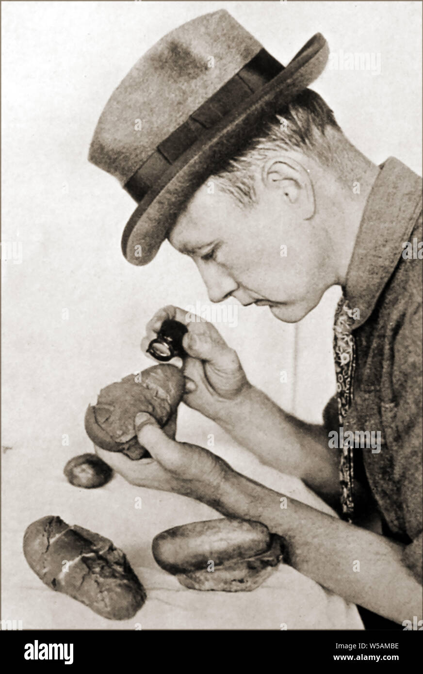 1946 Portrait of Dr Roy Chapman (1884-1960) American explorer, author, adventurer and naturalist . He became the director of the American Museum of Natural History and is seen here examining fossilised dinosaur eggs from the Gobi Desert. He was said to have inspired the film character Indiana Jones Stock Photo
