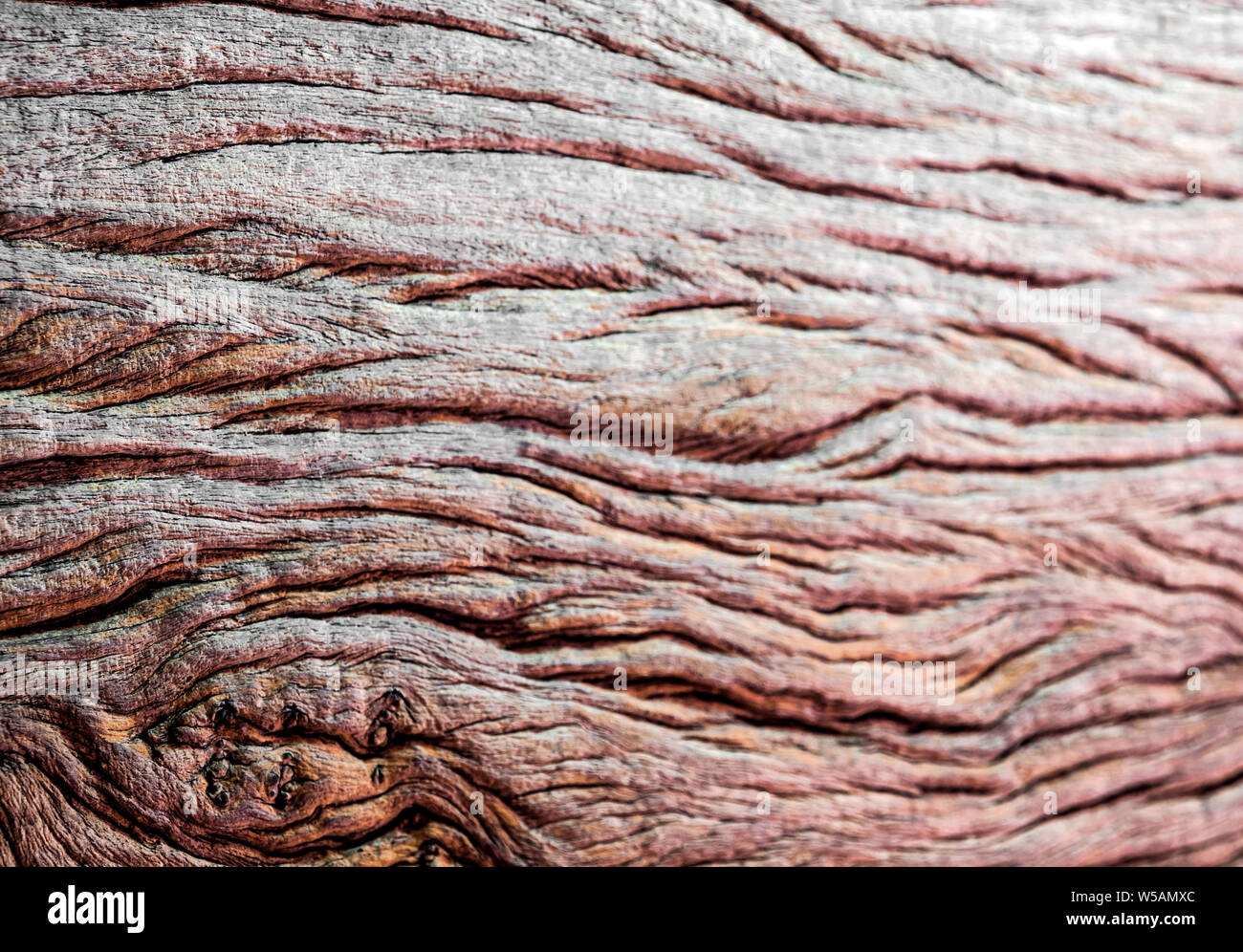 Texture surface of old wooden board, abstract background Stock Photo